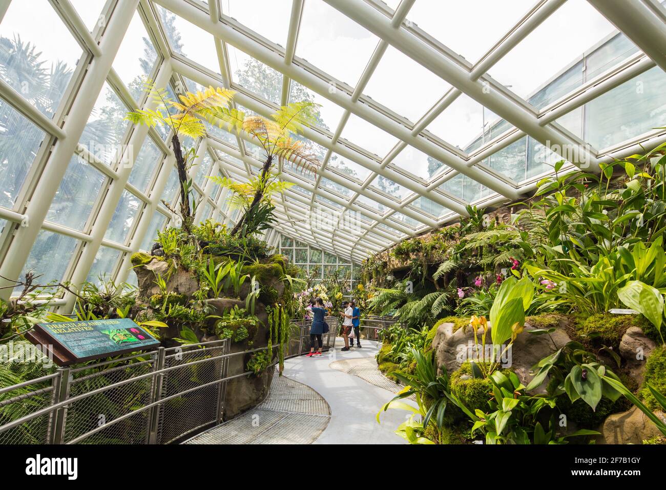 Interior landscaping design of The Sembcorp Cool House at National Orchid Garden, Singapore. Stock Photo