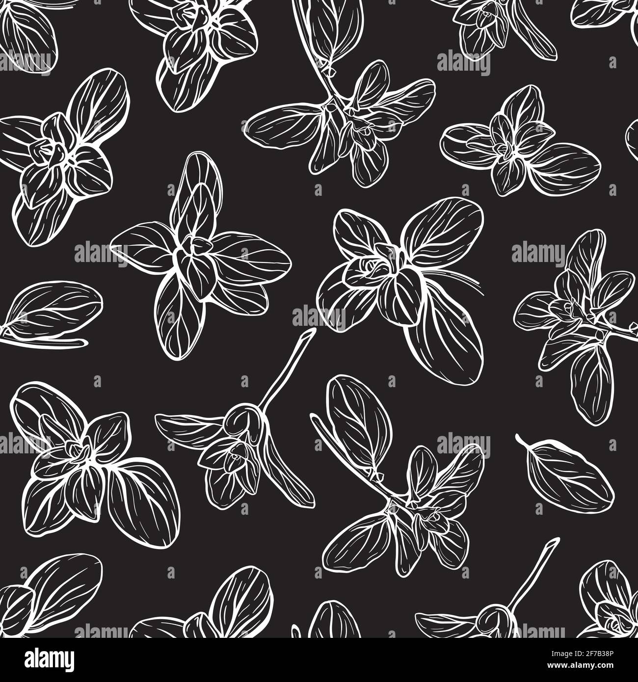 Basil Seamless Pattern. Italian herbs.A sprig of marjoram. Basil is a
