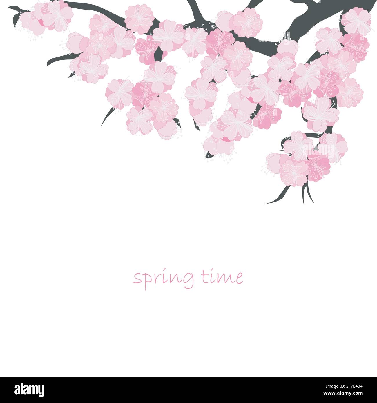Branch blooming pink cherry Stock Vector Images - Alamy