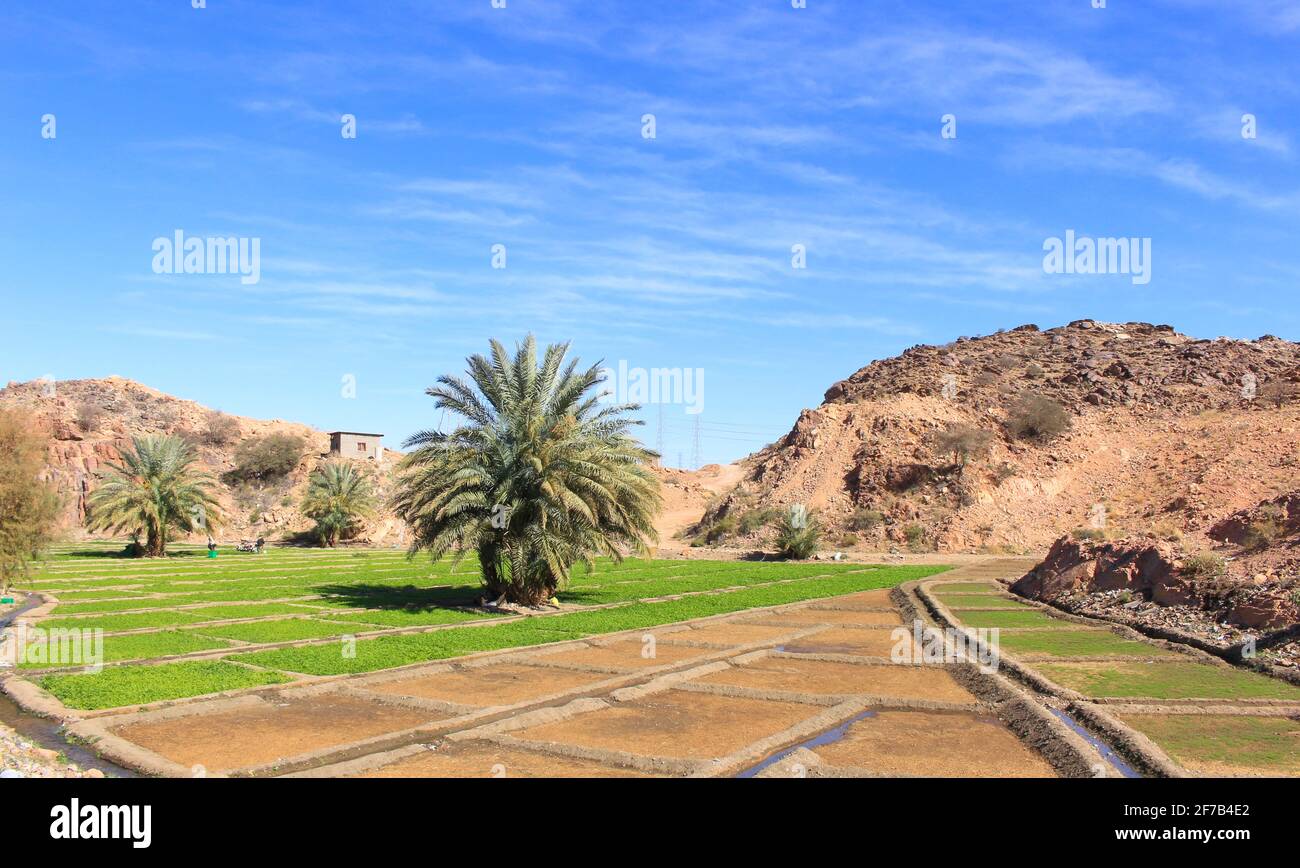 desert mountain landscape saudi arabia Stock Photo Alamy