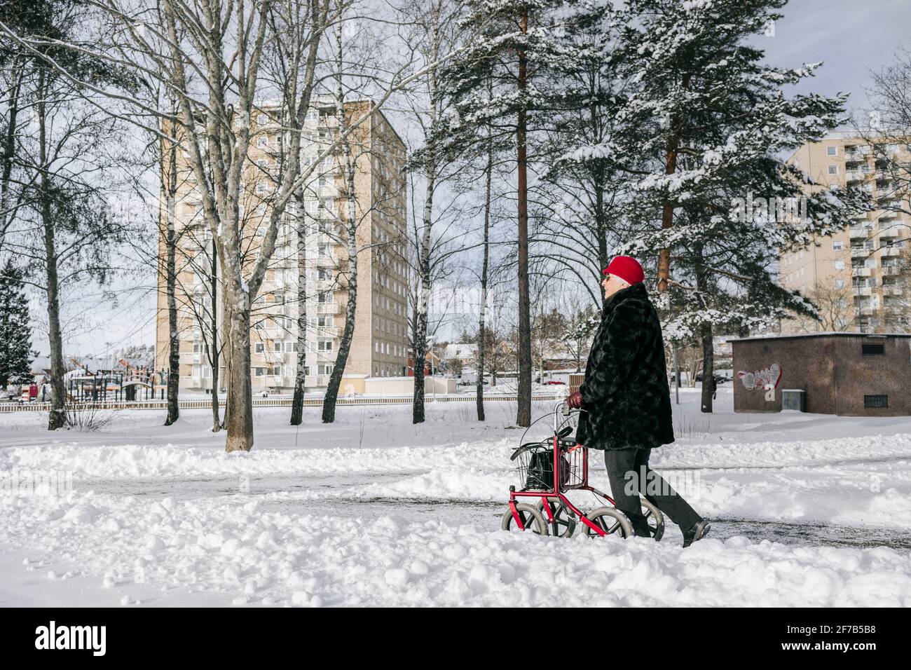 Senior woman with walking frame having walk at winter Stock Photo - Alamy