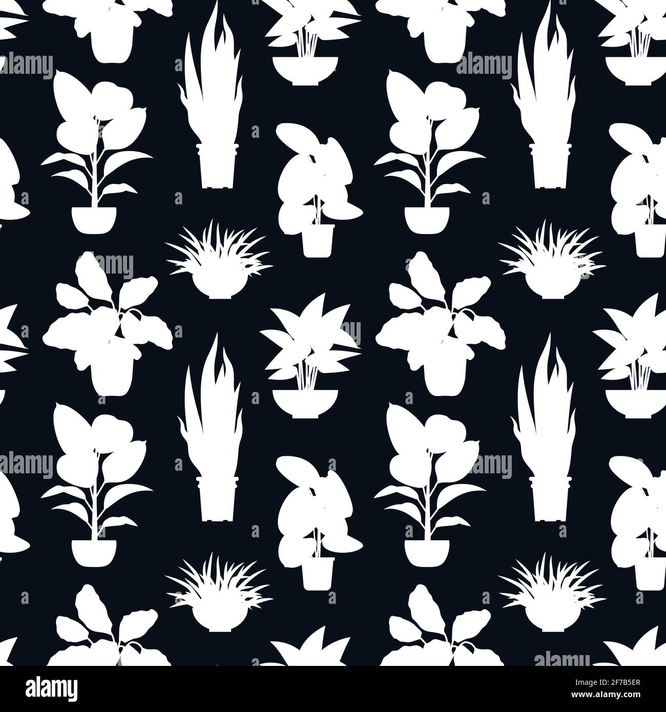 Tropical house plants silhouettes. On a black background Stock Vector ...