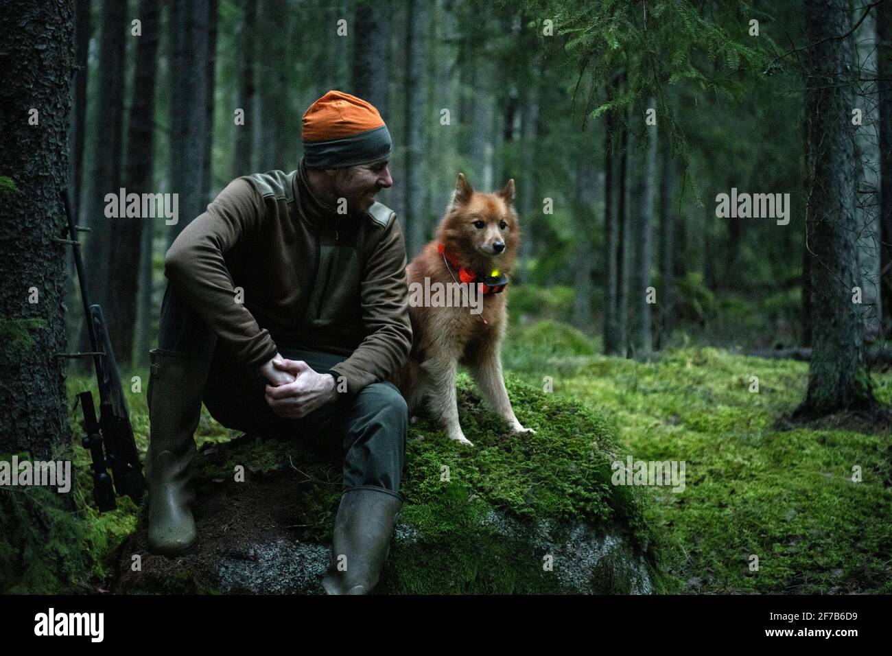 Hunter with dog in forest Stock Photo
