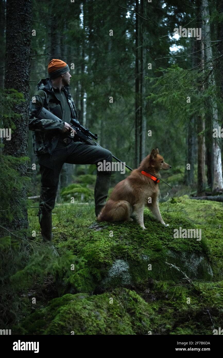 Hunter with dog in forest Stock Photo