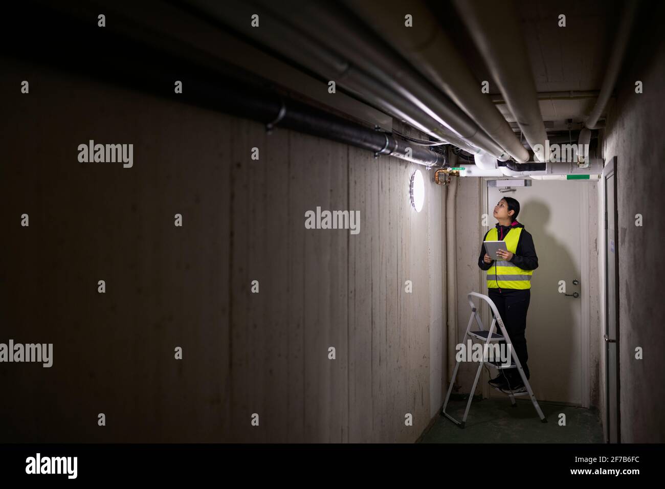 Female plumber checking pipes Stock Photo