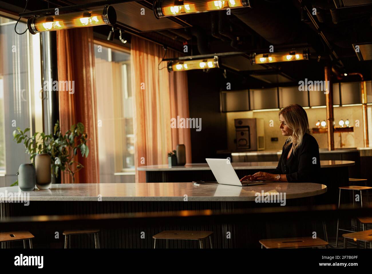 Woman using laptop in cafe Stock Photo