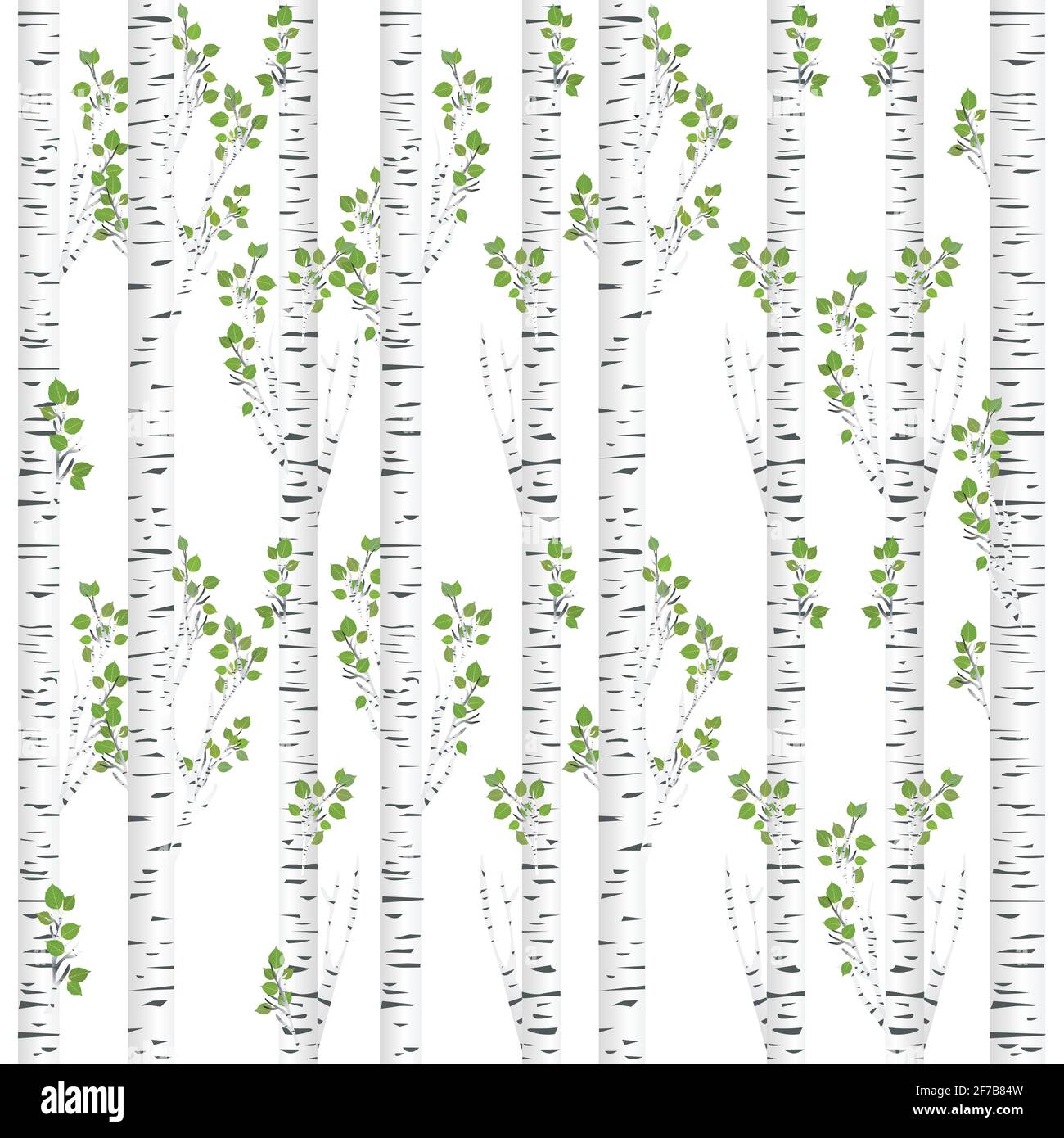 Birch trunks background in the summer Stock Vector