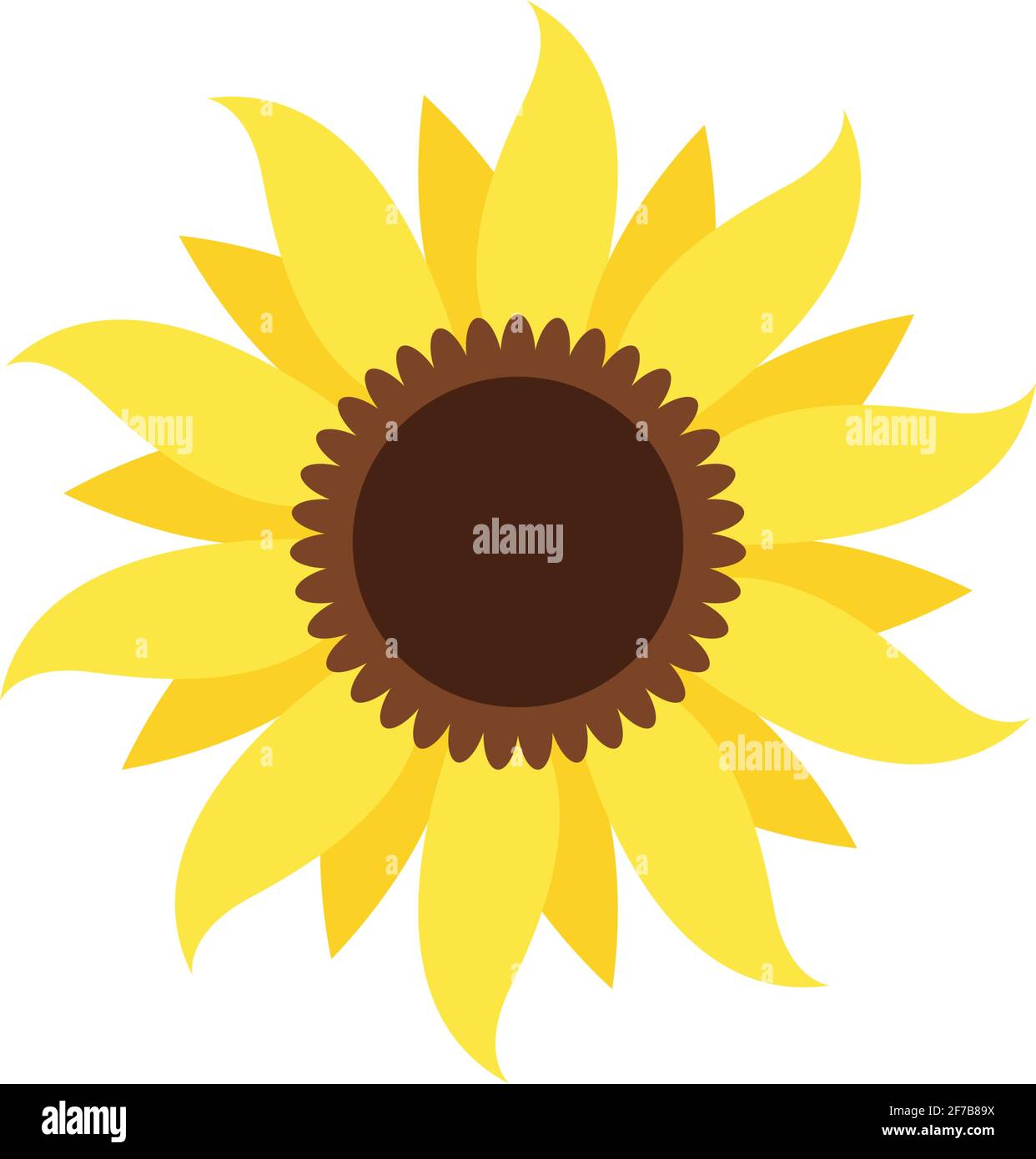Sunflower line icon hi-res stock photography and images - Alamy