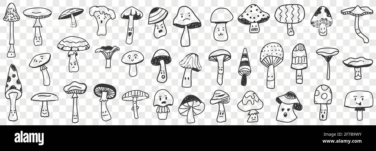 Edible and inedible mushroom doodle set. Collection of hand drawn edible and inedible mushrooms types growing in forest for picking isolated on transparent background Stock Vector