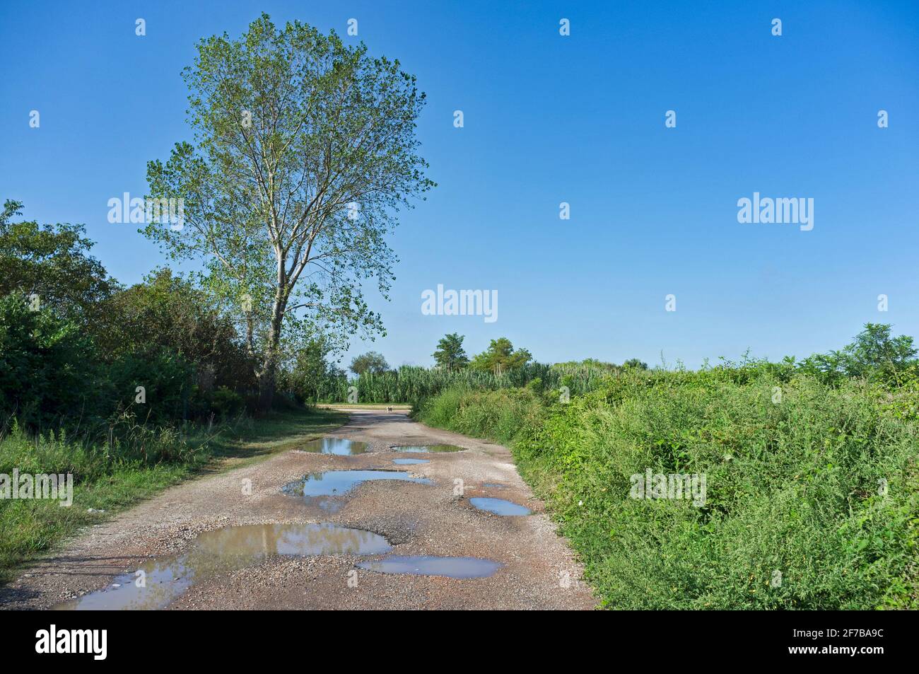 Cultivated Field Wet Soil High Resolution Stock Photography and Images ...