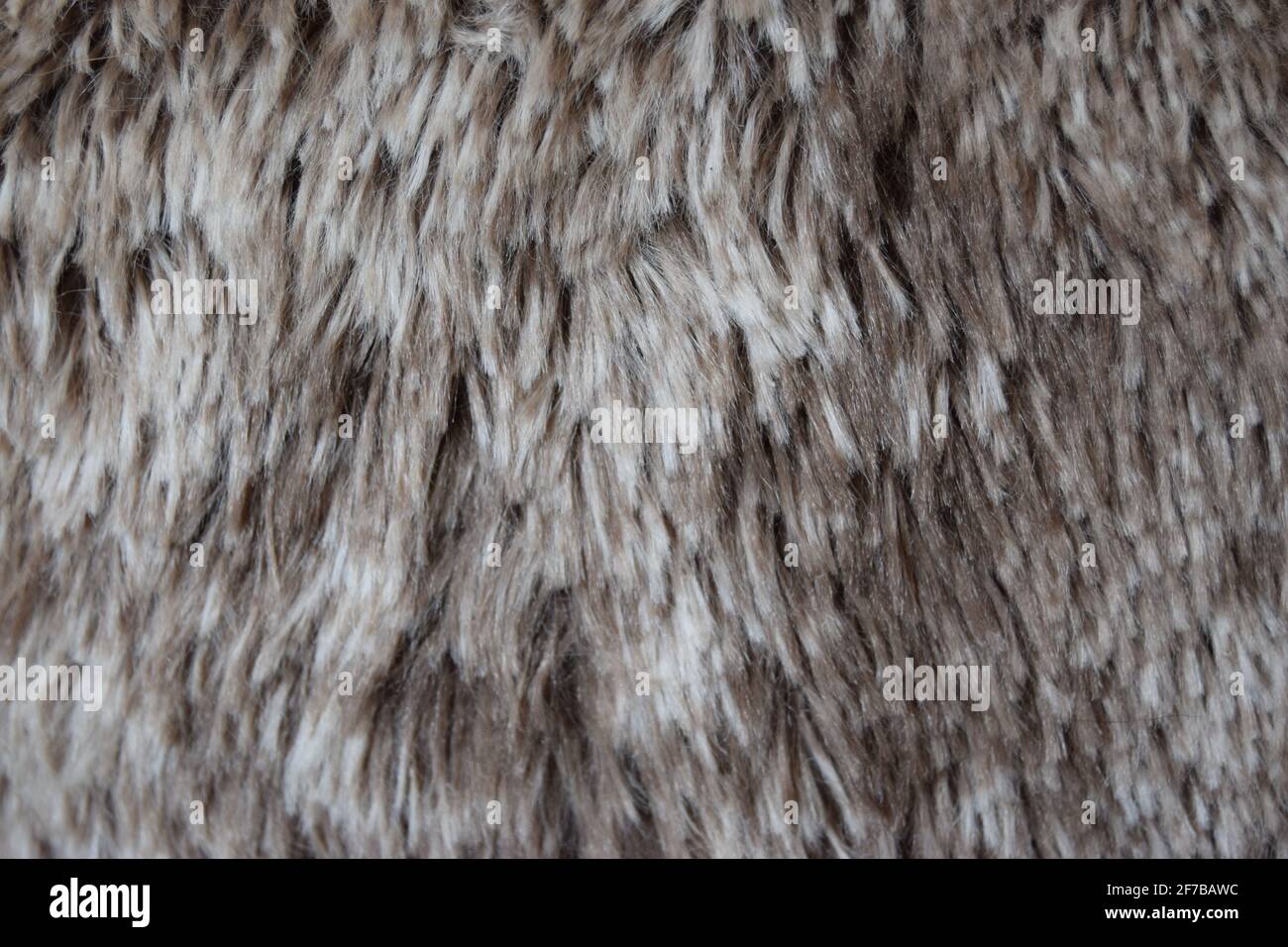 Mottled Fur landscape Stock Photo