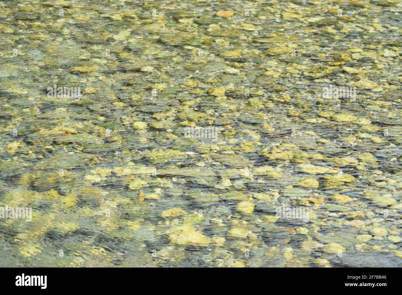 Rocks in Water landscape Stock Photo