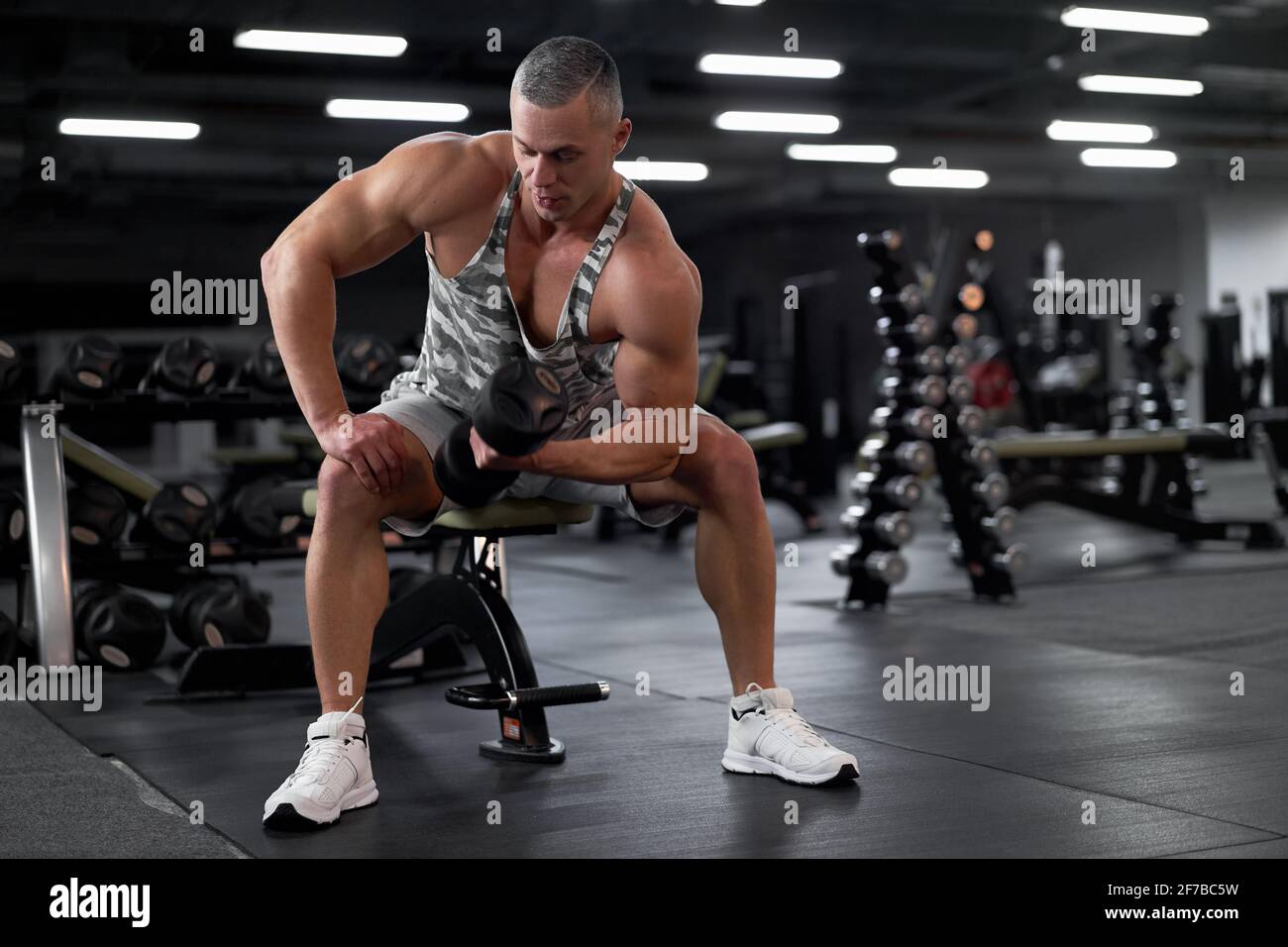Daniel Carter Bodybuilder