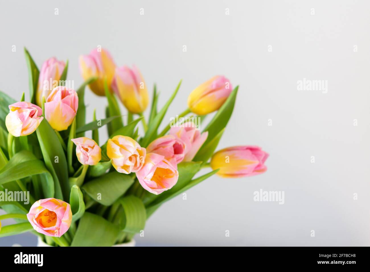 Beautiful spring bouquet of pink tulips close up, flowers in a home ...