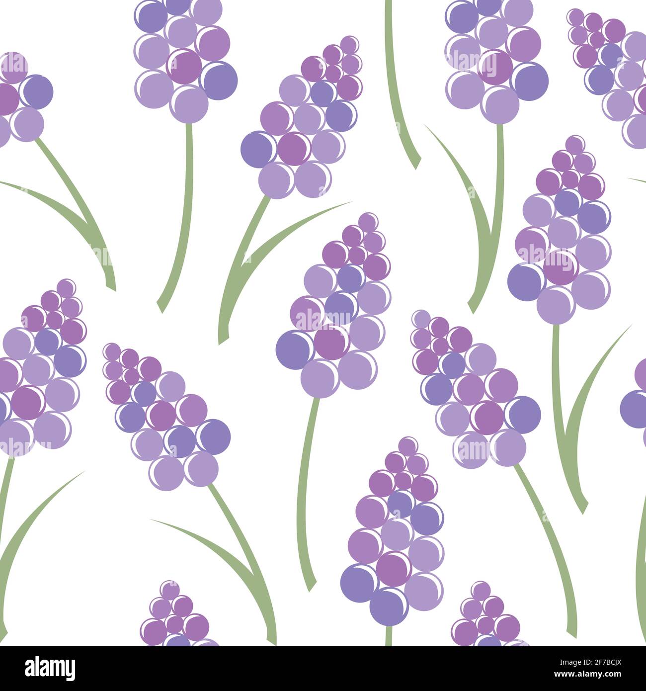 Lavender seamless pattern on white background Stock Vector