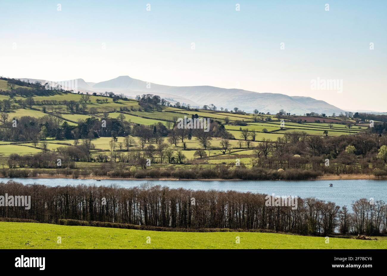 A view of Llangorse Lake in the Brecon Beacons National Park, Wales. The 886m peak of Pen y Fan