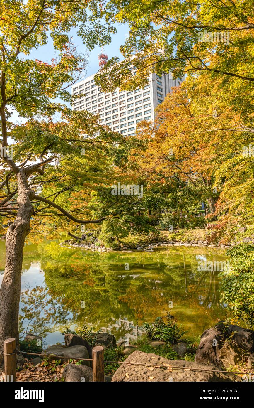 Hibiya Park (Hibiyakoen) in Chiyoda-ku in Autumn, Tokyo, Japan Stock Photo