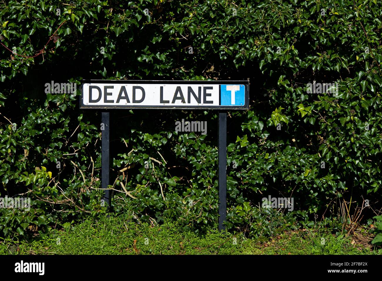 Sign - Dead Lane - in the village of Lockington, East Yorkshire, England UK Stock Photo