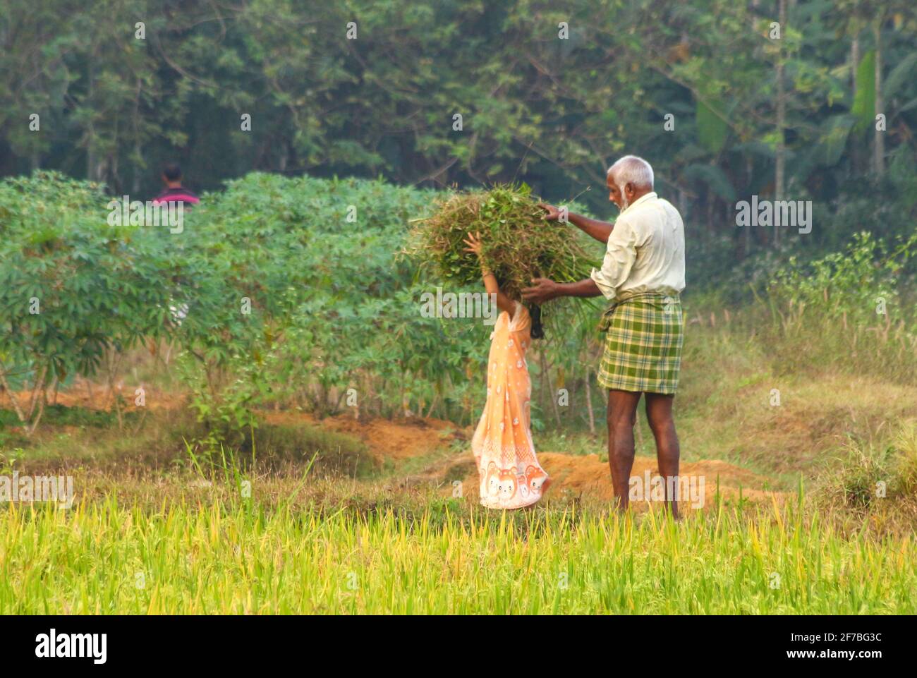 natural valley rural life in saudi arabia Stock Photo Alamy