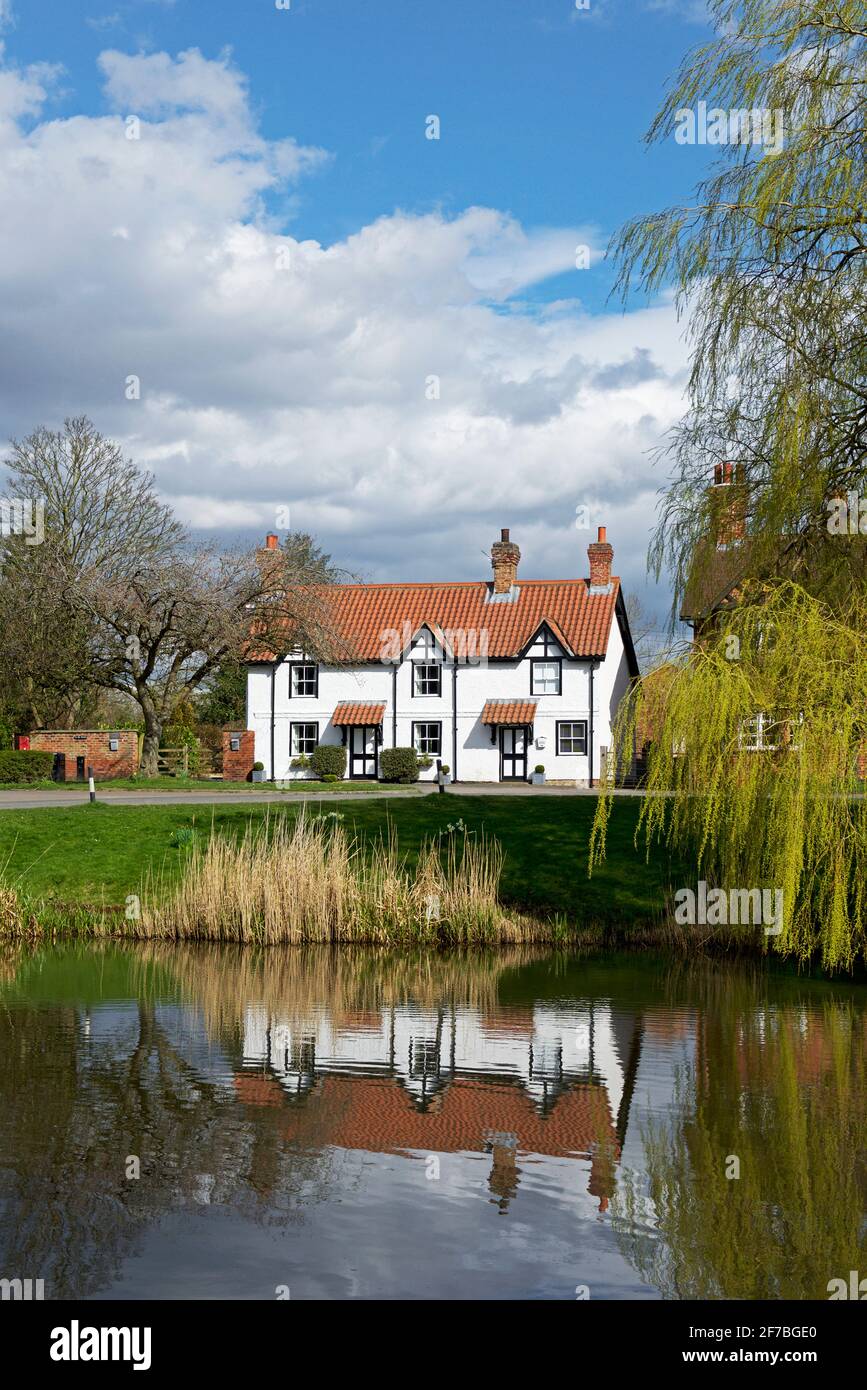 The village pond in Askham Richard, North Yorkshire, England UK Stock