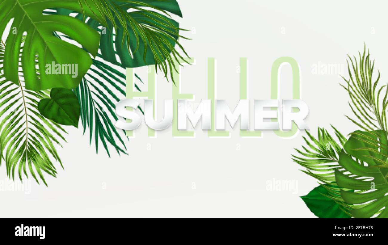Summer tropical banner with green palm leaves on white background ...