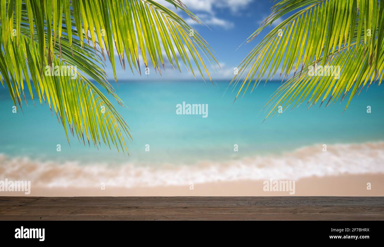 Palm tree blue sea hi-res stock photography and images - Alamy