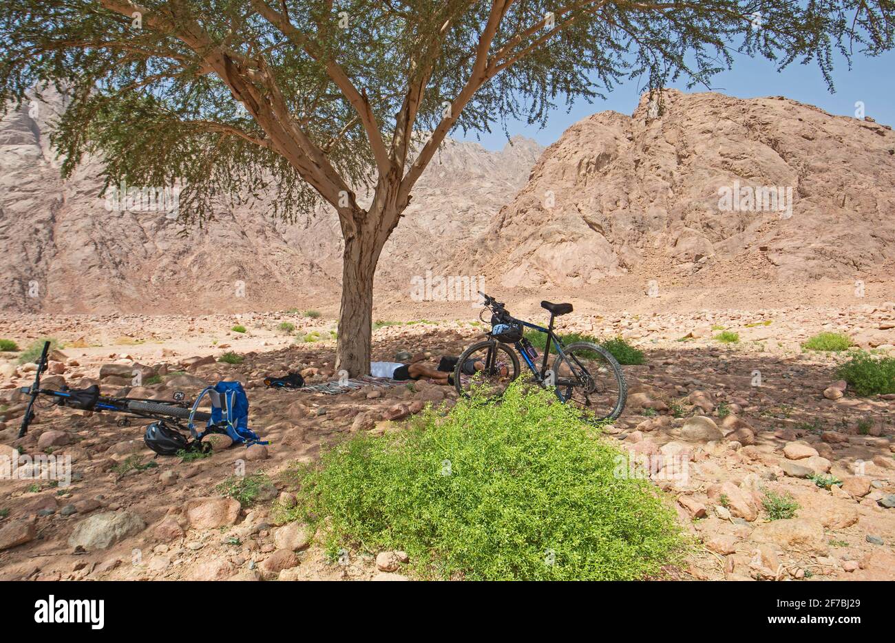 Landscape scenic view of desolate barren eastern desert in Egypt with adventure cyclists relaxing under tree Stock Photo