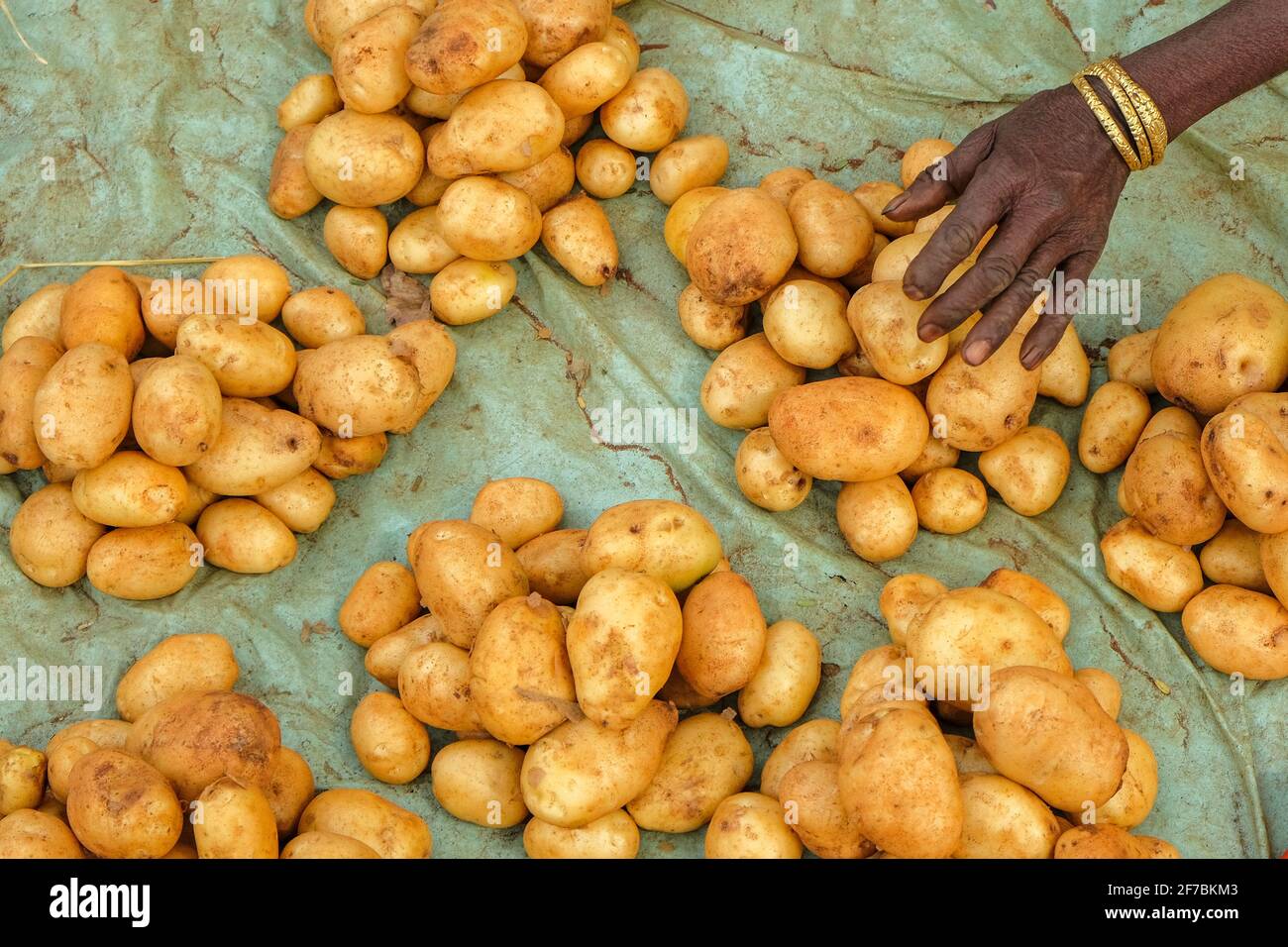 Adivasi woman selling potatoes in the Kunduli market in Odisha, India. Stock Photo