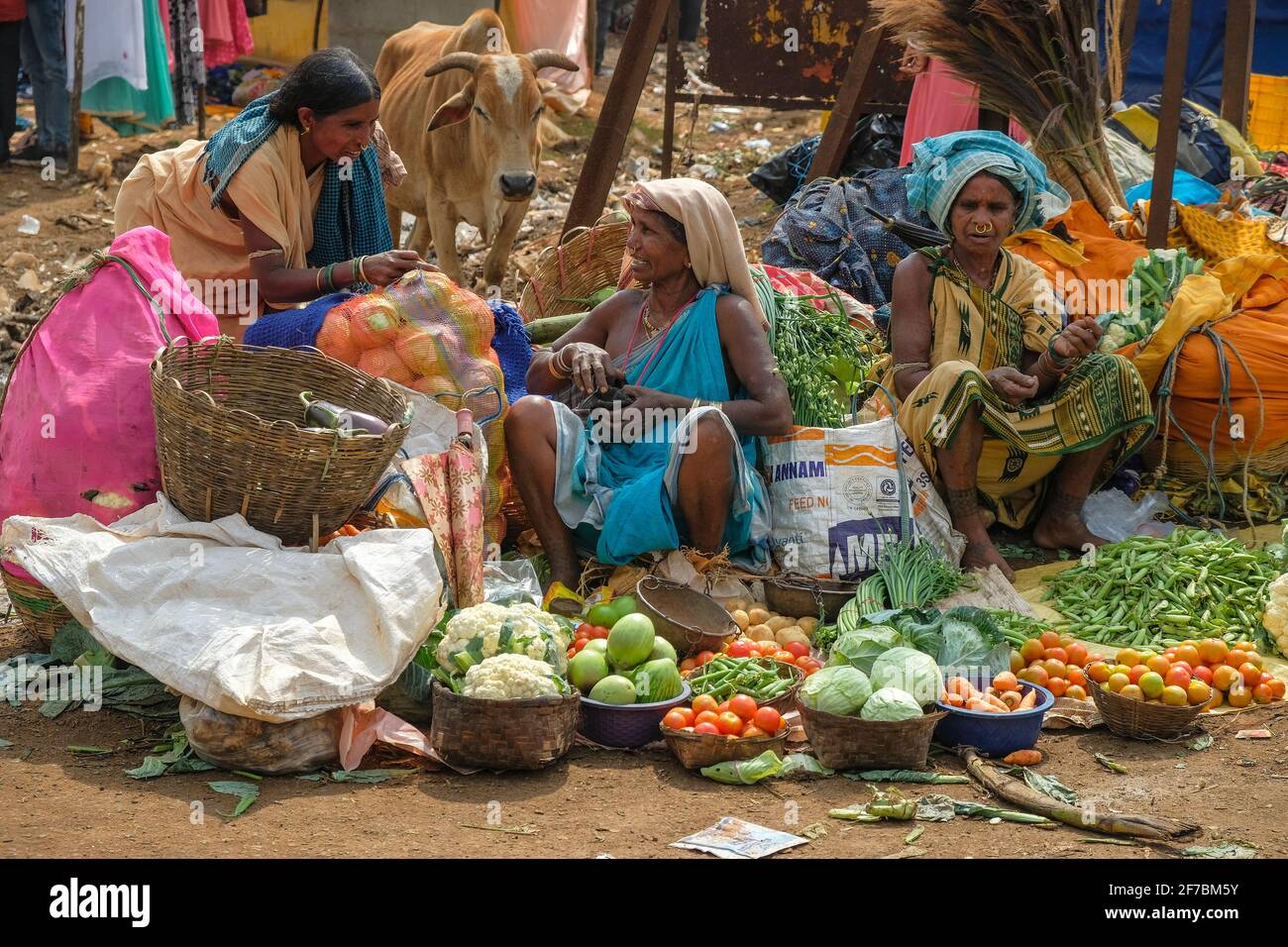 Kunduli, India - February 2021: Adivasi women from the Mali tribe selling vegetables in the Kunduli market on February 19, 2021 in Odisha, India. Stock Photo