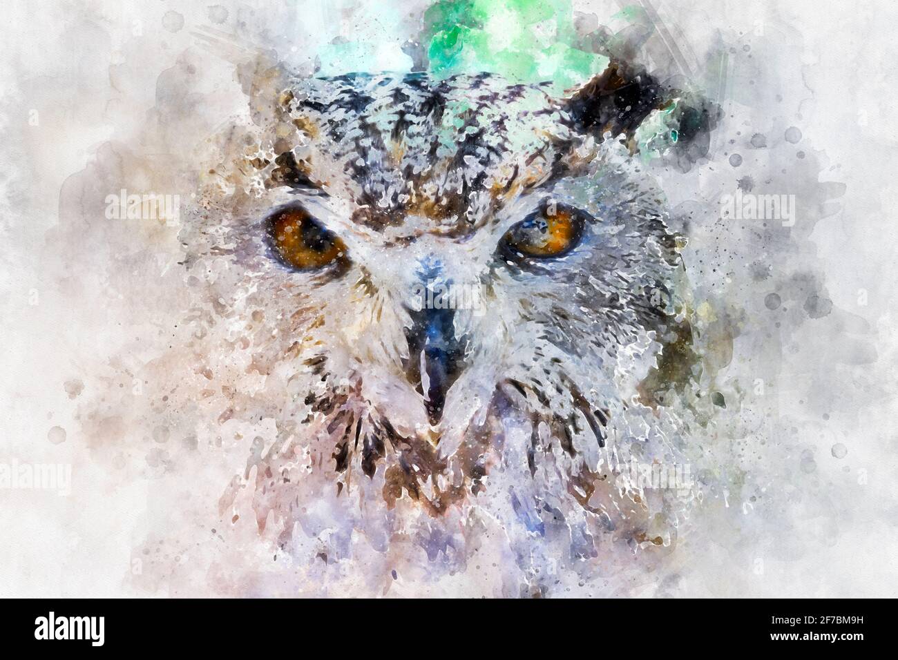 watercolor, beautiful owl with intense eyes and beautiful plumage Stock  Photo - Alamy, image size:1300x956