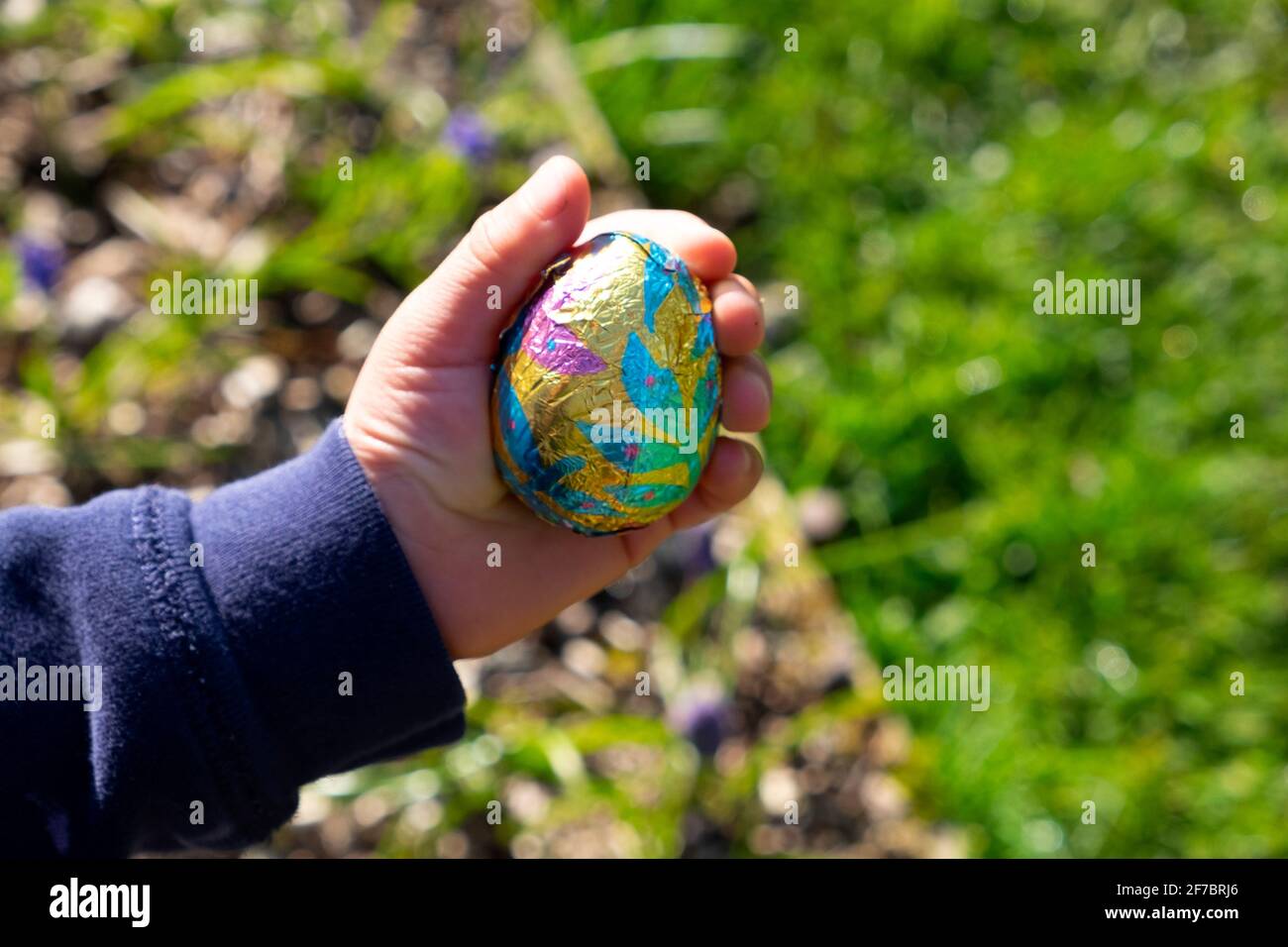 Hand of child boy 4 yrs holding colourful chocolate egg in country garden on an Easter egg hunt Carmarthenshire Wales UK Great Britain   KATHY DEWITT Stock Photo