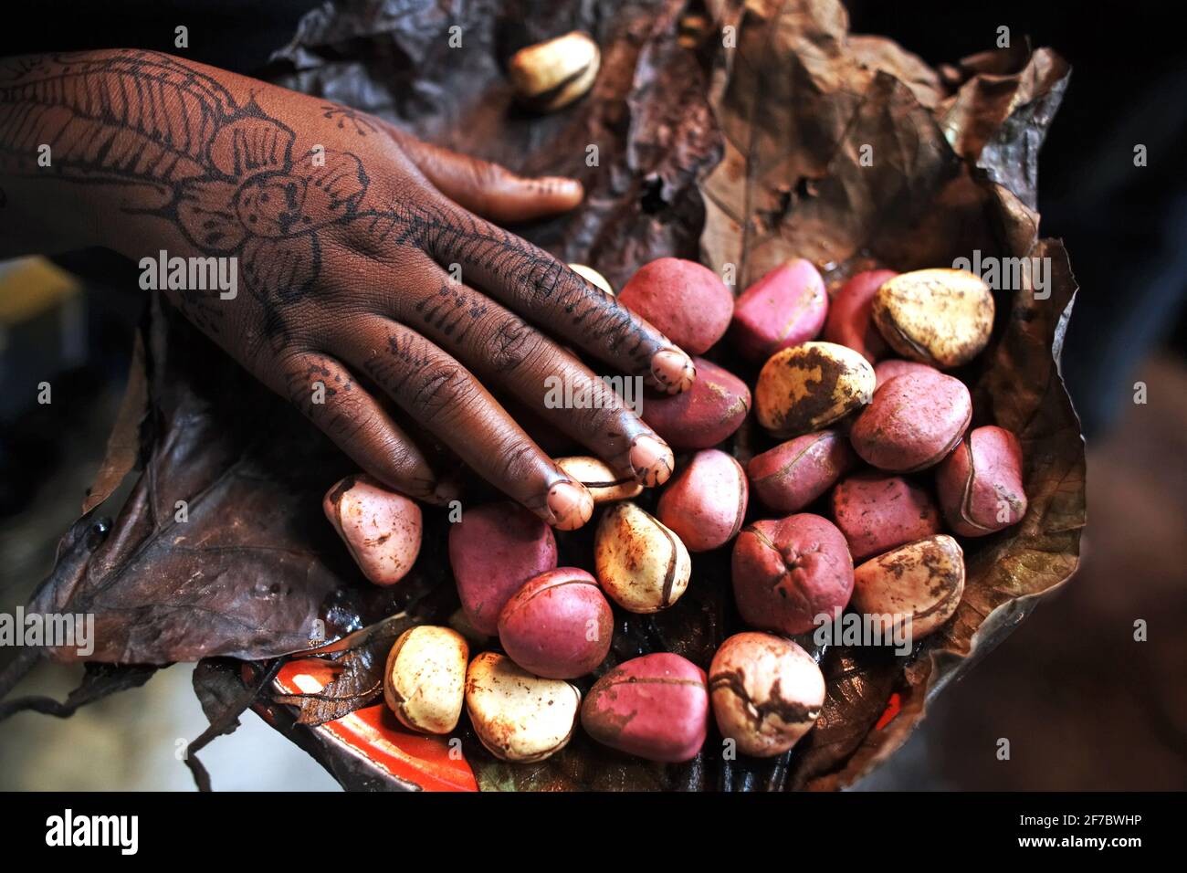 Organic African Kola Nut Powder (Cola Acuminata) From Ivory Coast - Relax Remedy, FREE Shipping