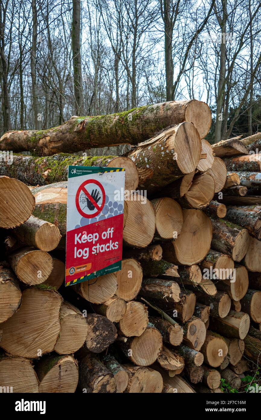 'Keep Off Log Stacks' sign in a forest after trees have been cut down