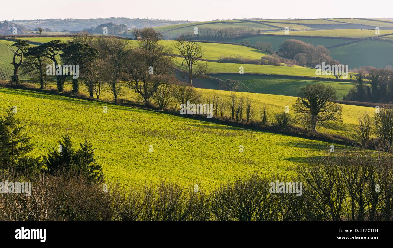 Fields and Meadows over English Village, Devon, England, Europe Stock Photo