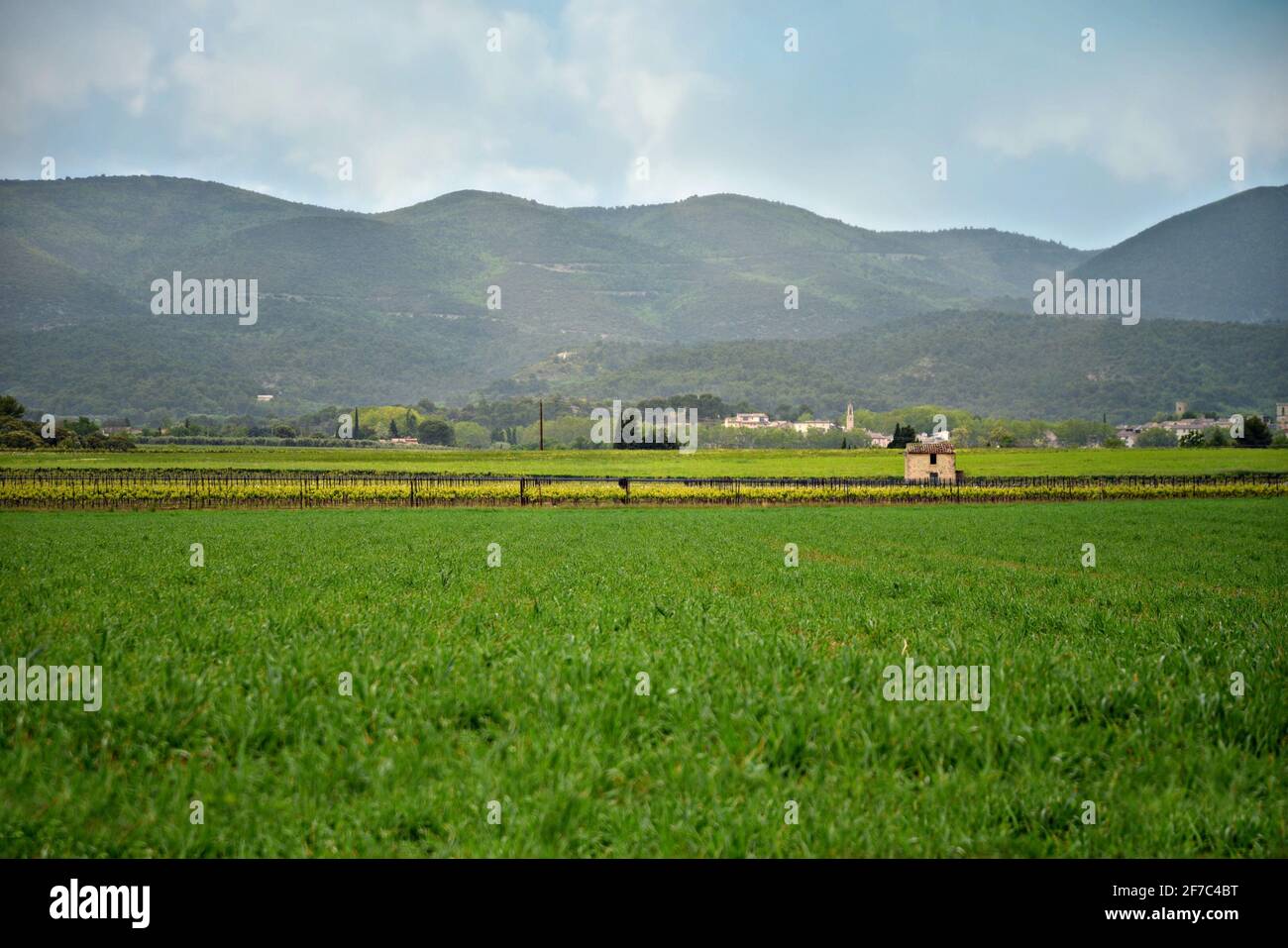 Landscape in the countryside of Grambois in Provence-Alpes-Côte d'Azur, Vaucluse, France. Stock Photo