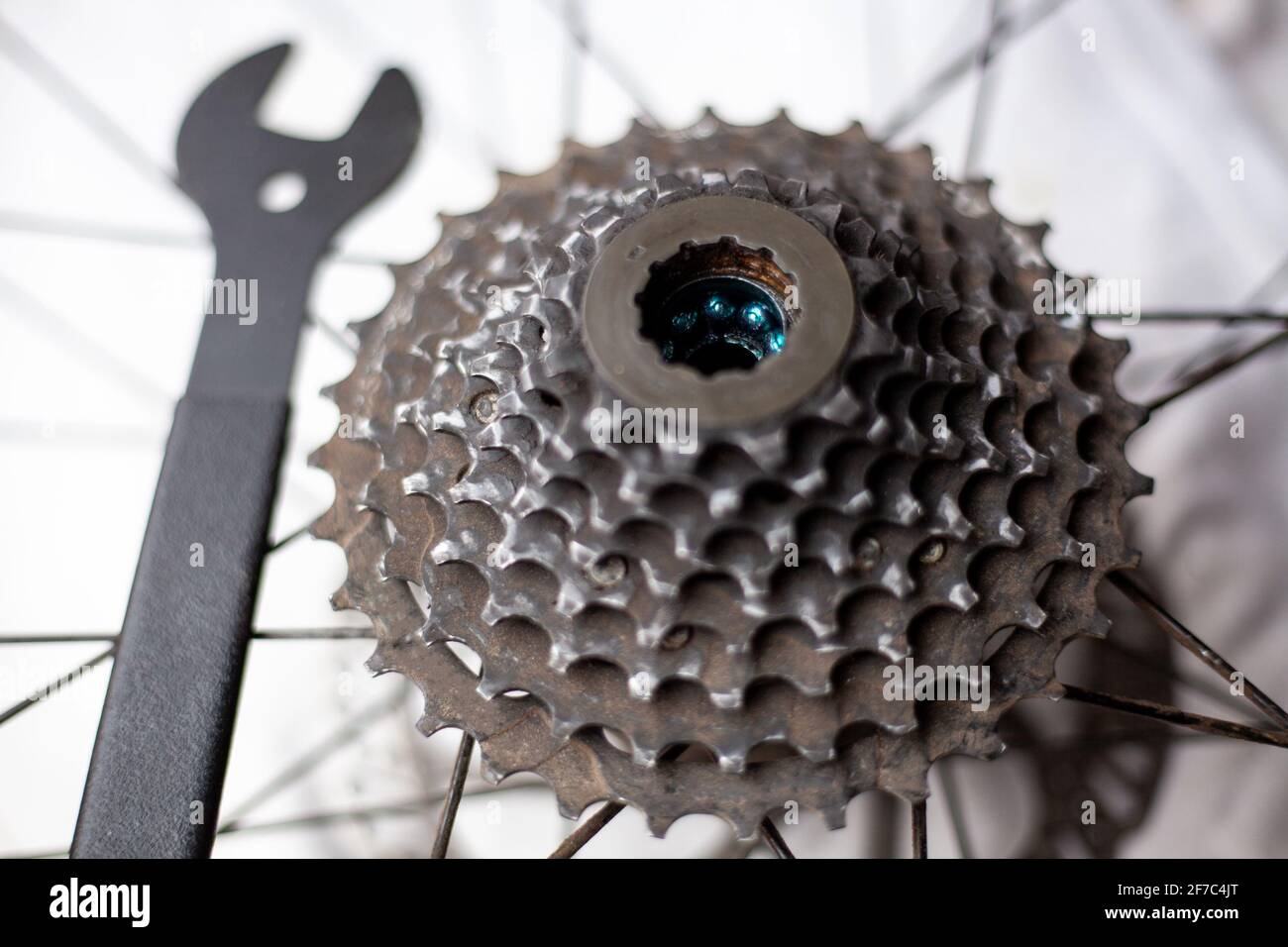 Bike cassette maintenance sales