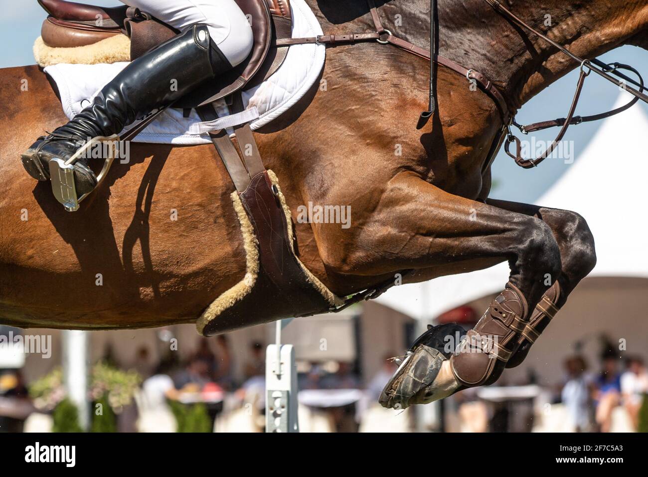 Horse Jumping, Equestrian Sports themed photo. Stock Photo