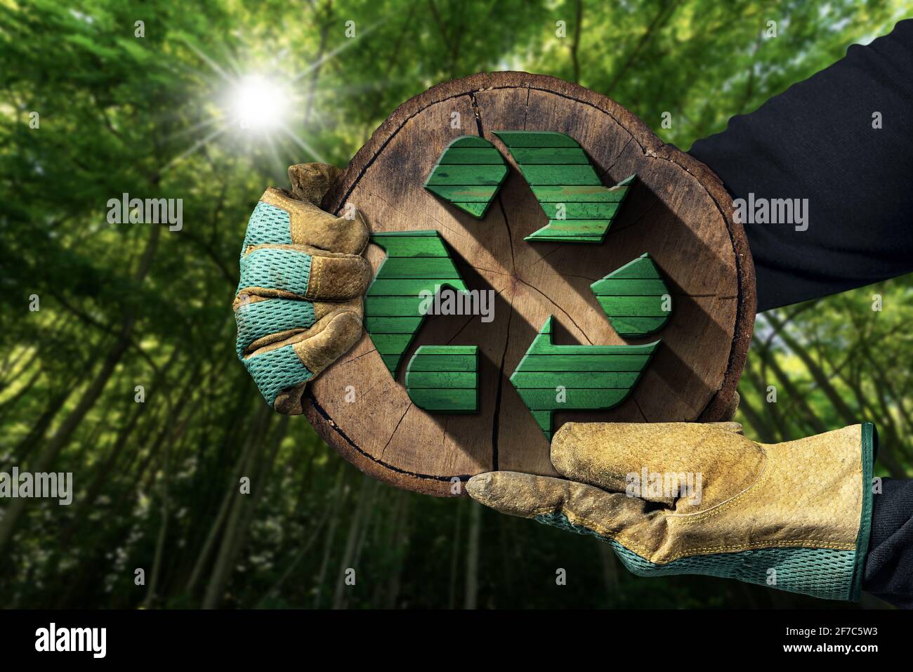 Gloved hands holding a recycling symbol made of green and brown wood inside of a cross section of a tree trunk. Sustainable Resources concept. Stock Photo