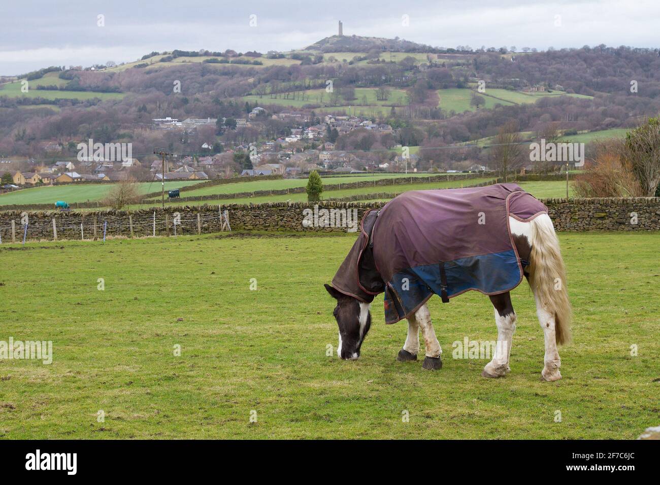 Honley Castle Hill seen from Honley Village Stock Photo - Alamy