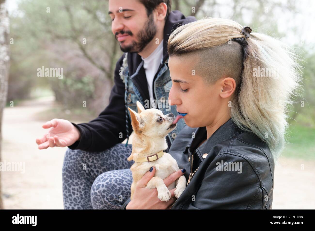 Chihuahua licking her owners mouth and disgusted friend beside. Young punk couple in a park. Stock Photo