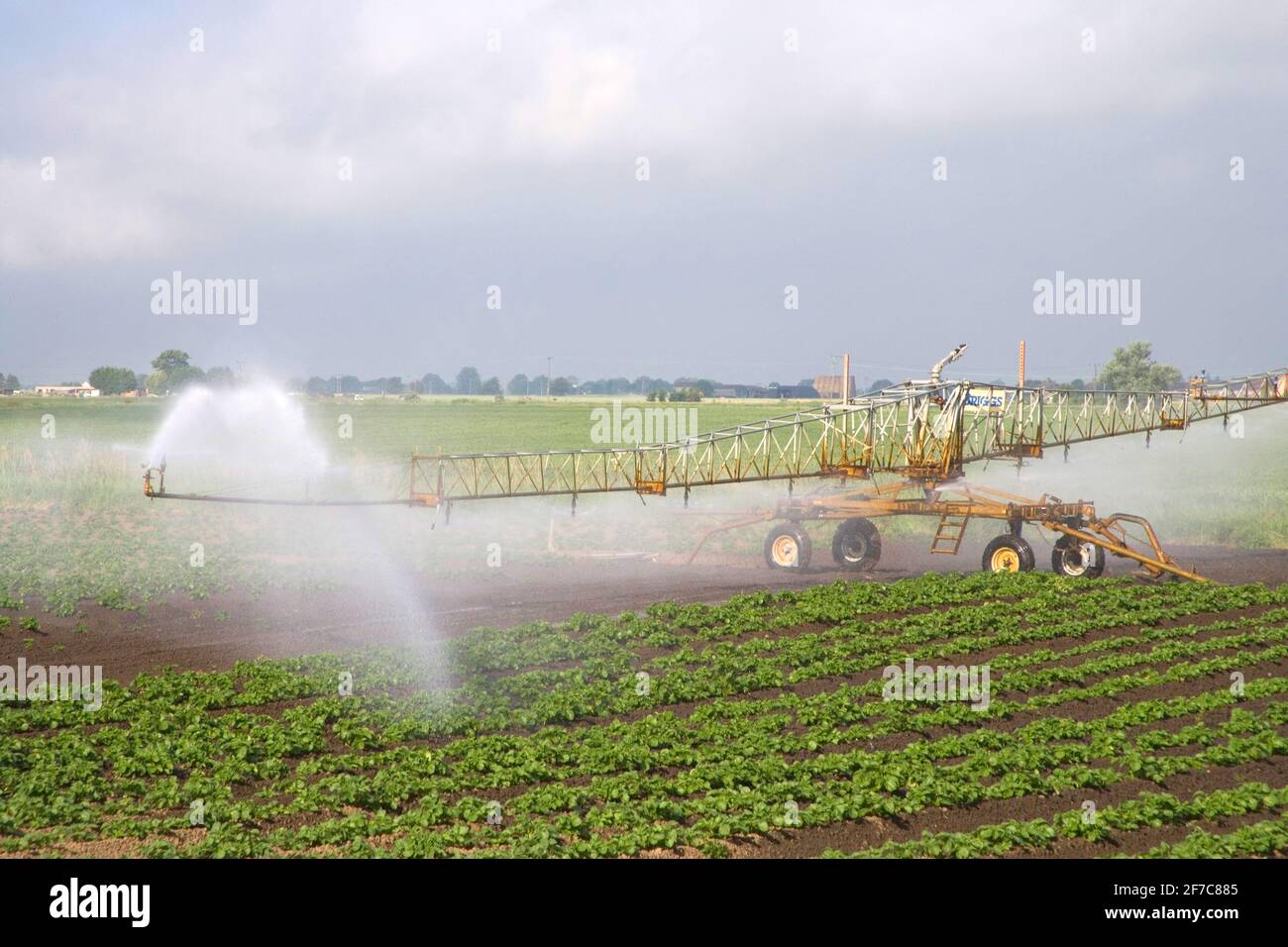 watering farm crops in the cambridgeshire fens Stock Photo