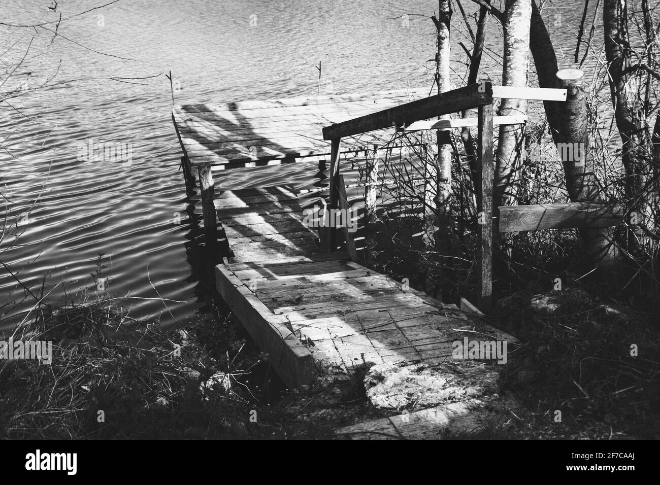 Wooden gangway for fishing in river. Ile-de-France, France. Scenic view with sunset light and dark long shadows. Countryside vacation. Black white Stock Photo