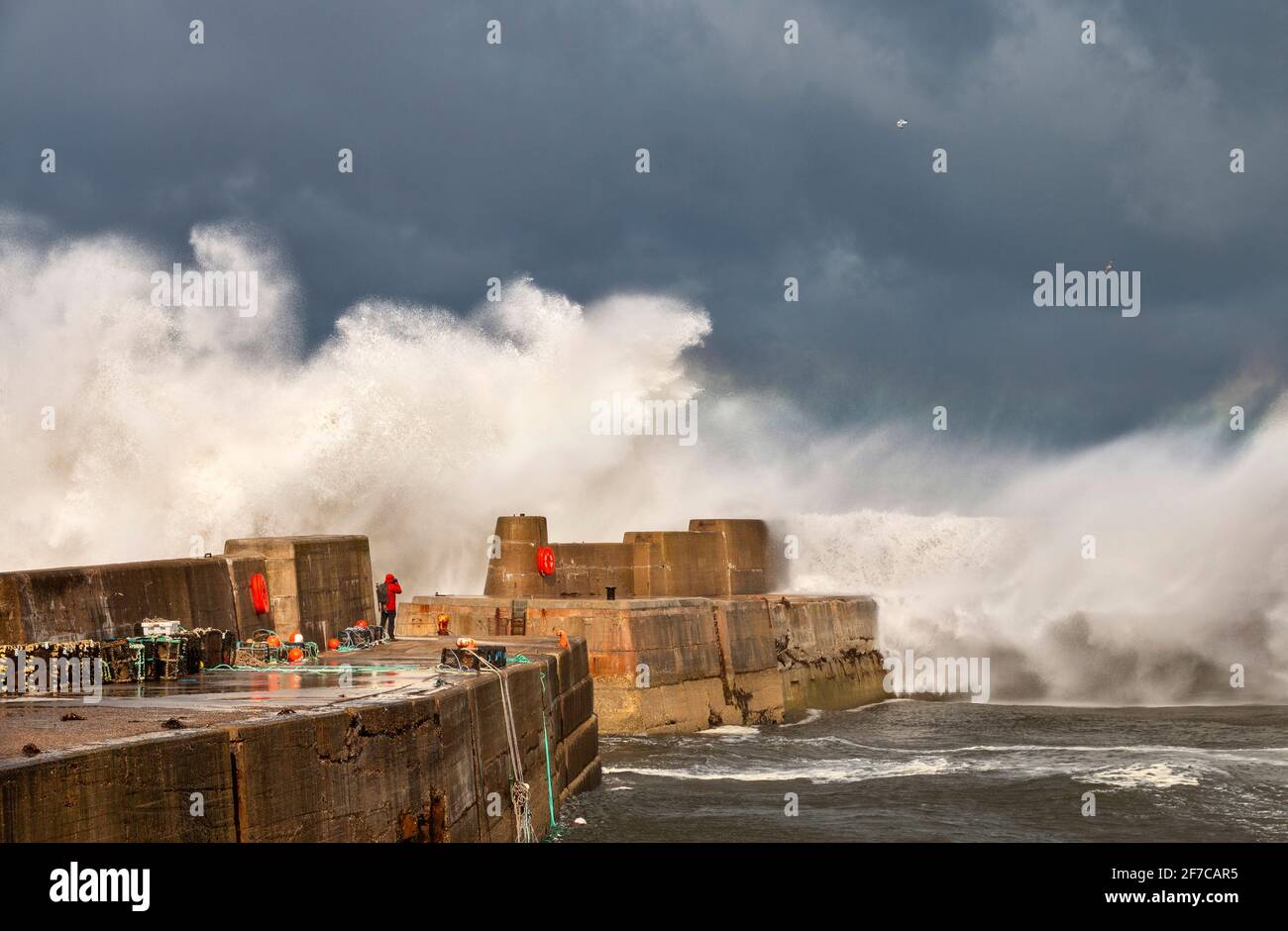 PORTKNOCKIE MORAY COAST SCOTLAND STORM AND VERY HIGH WINDS WAVES CRASHING AND BREAKING OVER A MAN AND THE HARBOUR WALLS Stock Photo