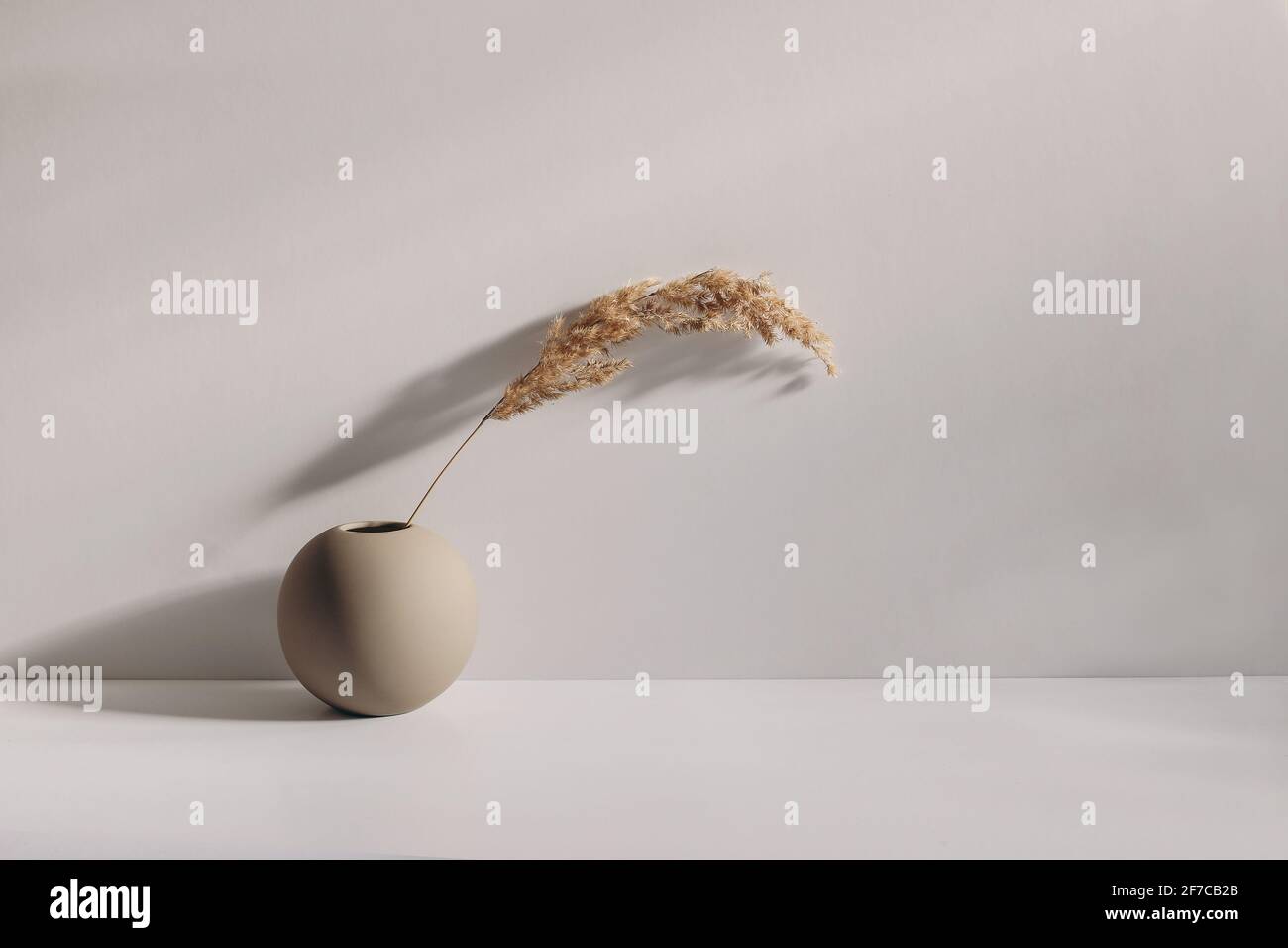 Modern summer, fall still life photo. Beige ball shaped vase with dry festuca grass in sunlight with long shadows. Beige table wall background. Empty Stock Photo