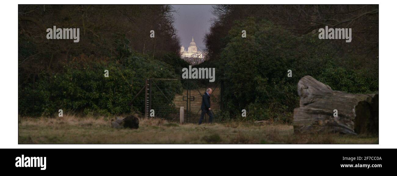 The view of St. Pauls Cathedral from King Henry viii Mound in Richmond Park.pic David Sandison 23/2/2004 Stock Photo