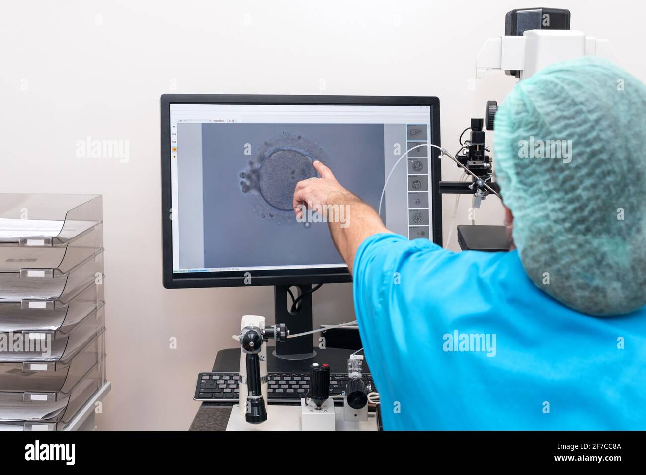 Embryologists hires stock photography and images Alamy