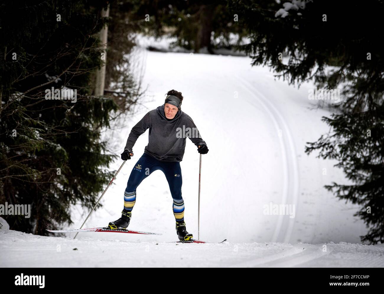 Van der poel hi-res stock photography and images - Page 3 - Alamy