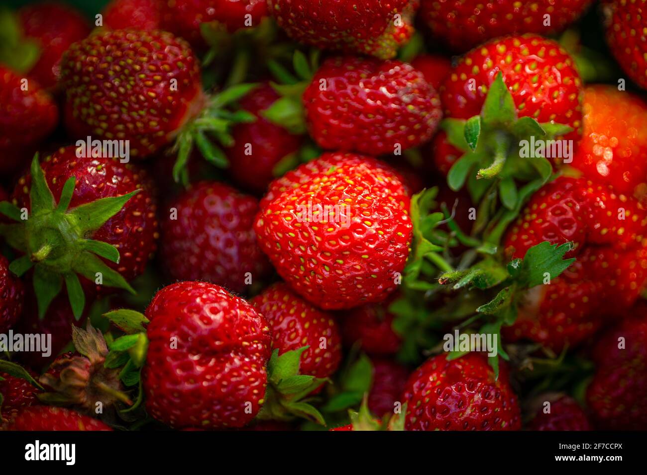 Fresh red ripe organic strawberry background. Close up, top view ...