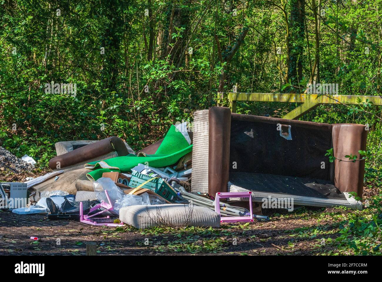 Illegally Fly tipped rubbish in a wooded area. Stock Photo