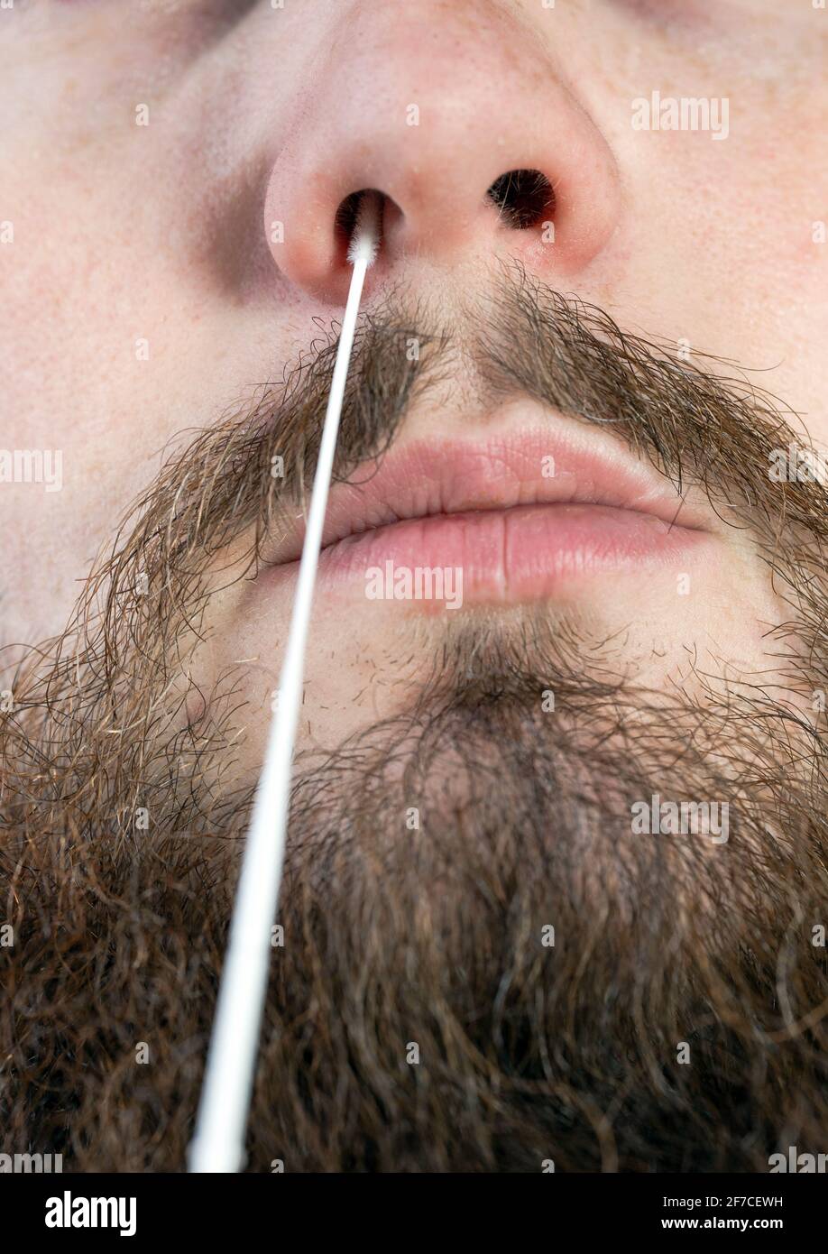 Covid19 nasal swab test, taking nasal mucus test sample, Cotton swab